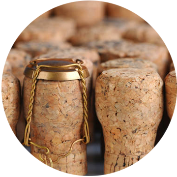 Mushroom cork or synthetic cork caging machines